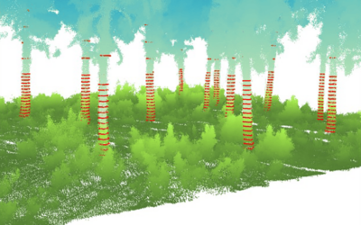 AID-Forest: Artículo científico en el que participa DIELMO 3D